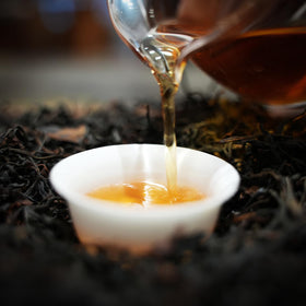 LIUXIA CHA tea is forgiving for both hot and cold brews