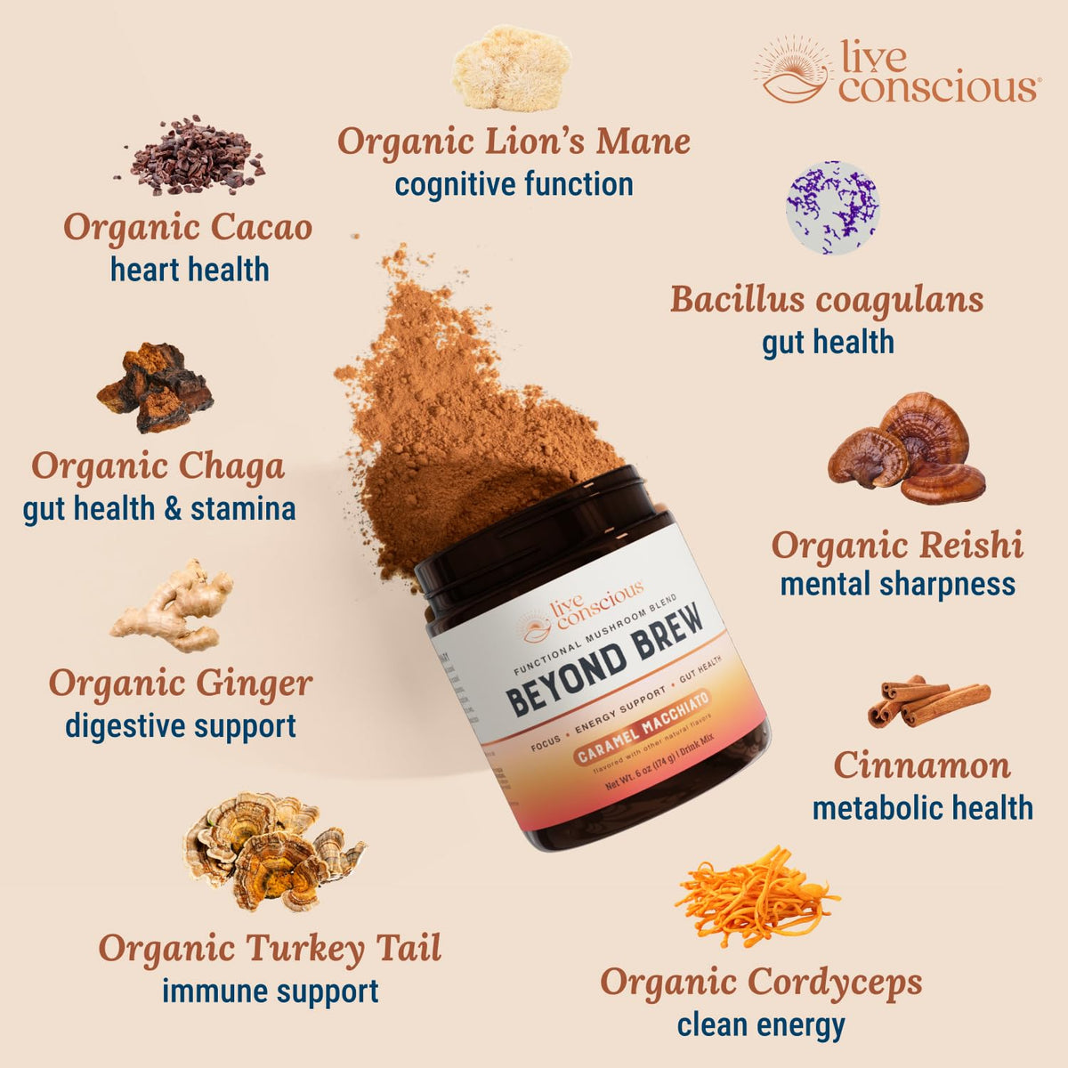 Mushroom blend with lion’s mane, reishi, and chaga for balance