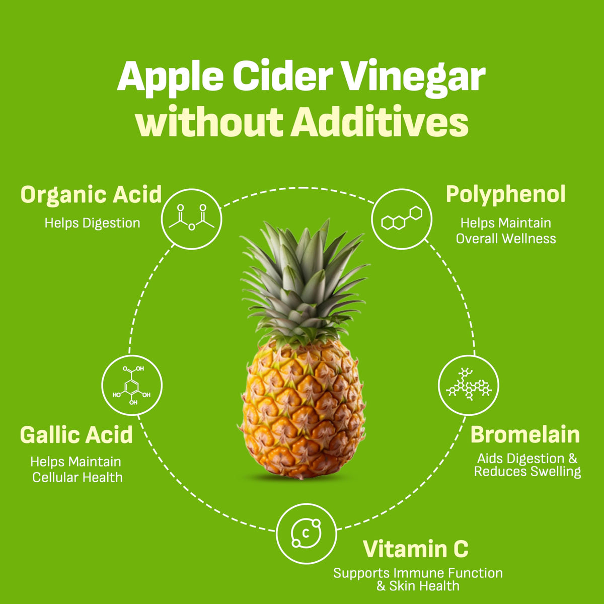 LIVELING Zero-sugar, low-calorie stick ideal after meals or as a light pick-me-up.