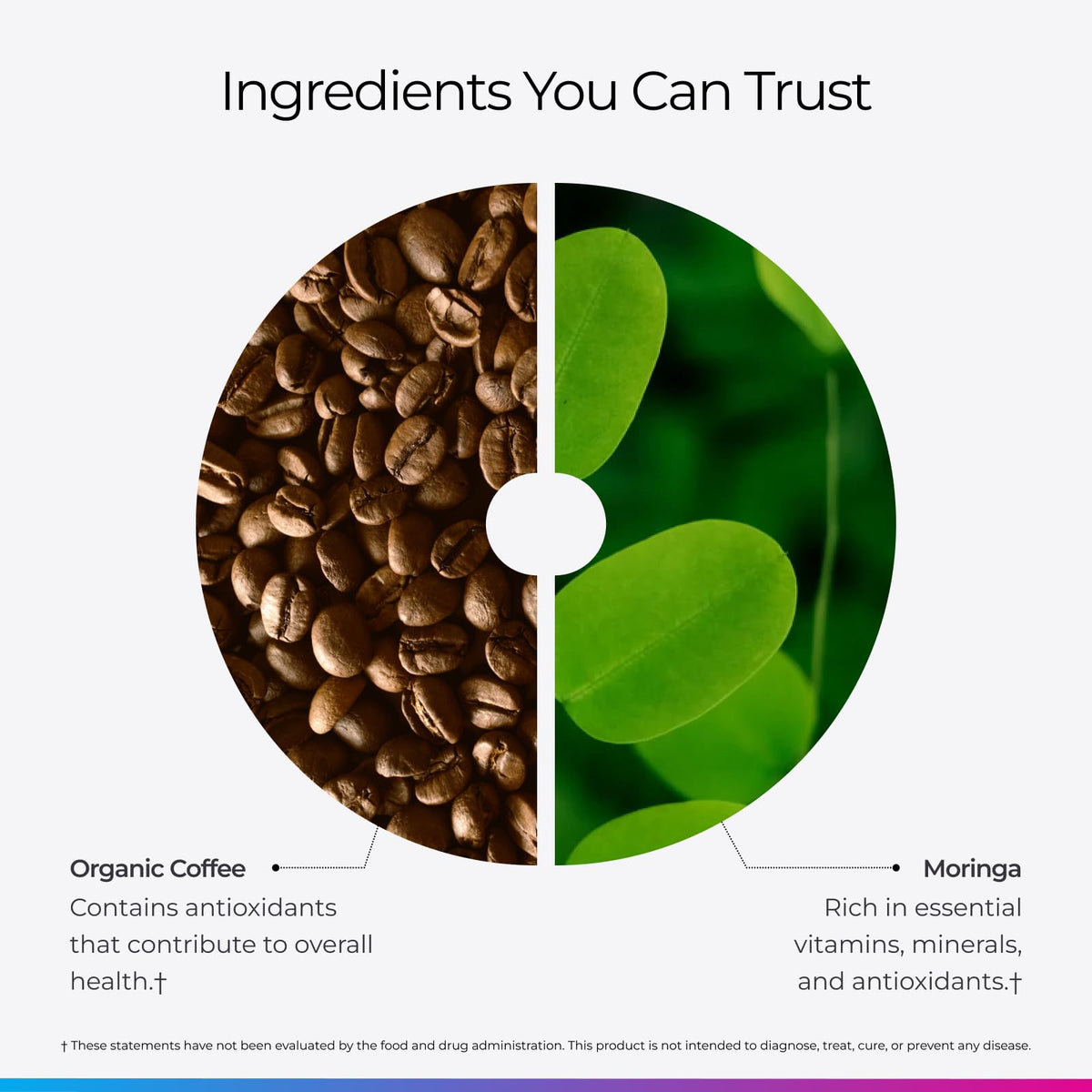 French press brew of Livingood Daily Coffee with Moringa for rich flavor.