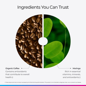 French press brew of Livingood Daily Coffee with Moringa for rich flavor.