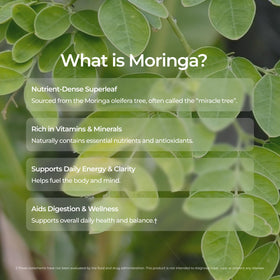 Closeup of Livingood Daily packaging highlighting organic, non-GMO, vegan ingredients.