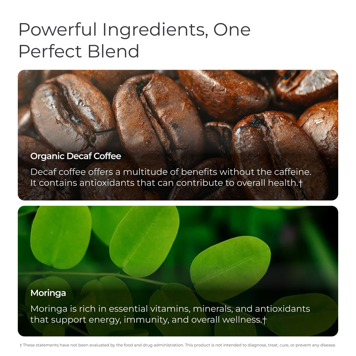Morning routine with Livingood Daily moringa coffee for balanced energy