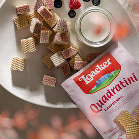 Loacker Quadratini Raspberry Yogurt lunchbox snack
