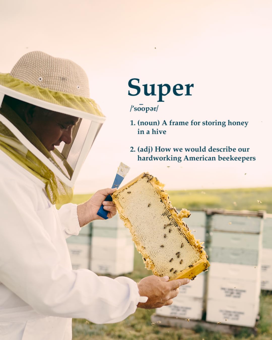 Local Hive Orange Blossom Honey bottle with toast illustrating easy drizzling and balanced sweetness