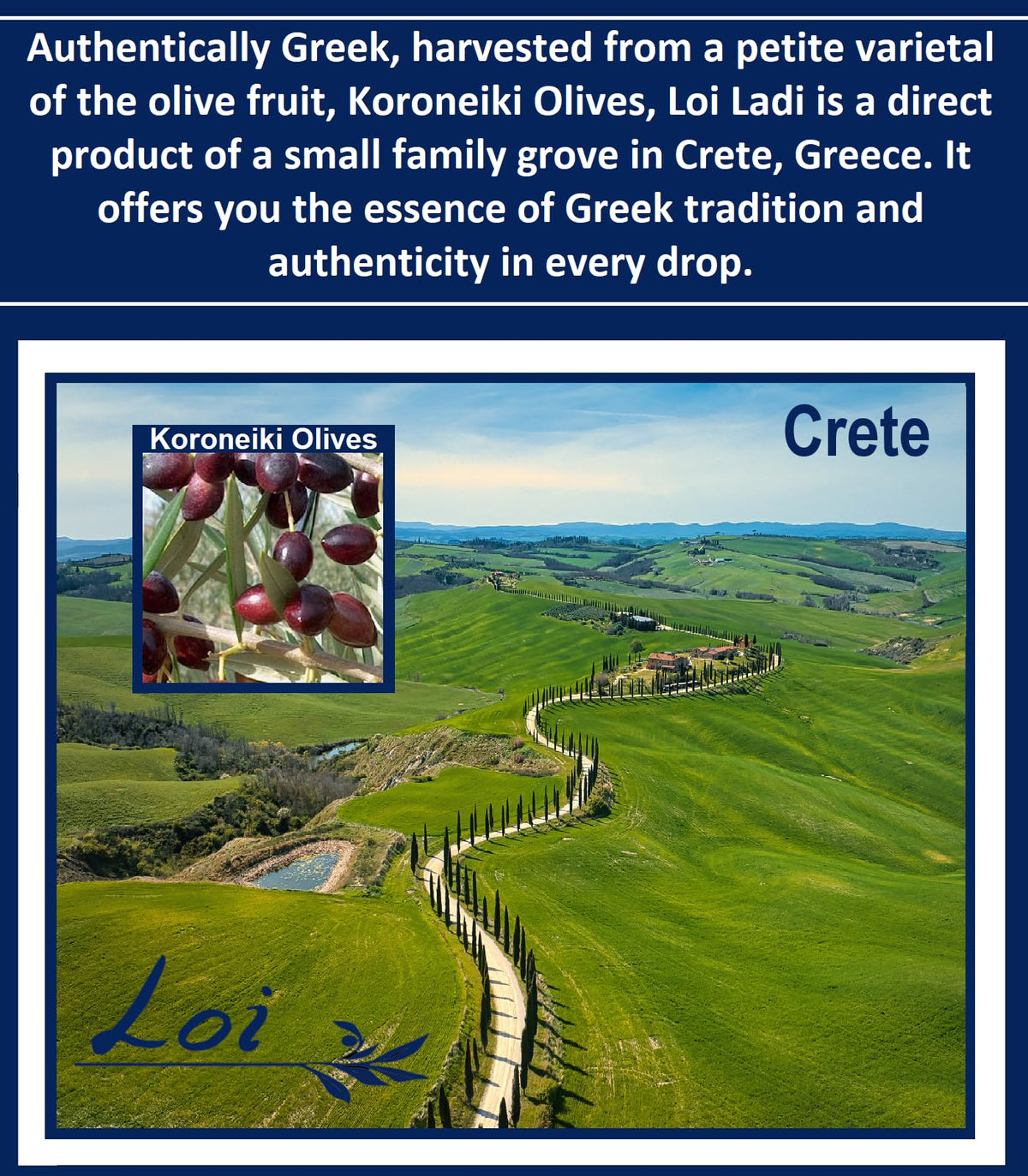 Loi Ladi Koroneiki olives closeup emphasizing small-farm Greek origin and flavor