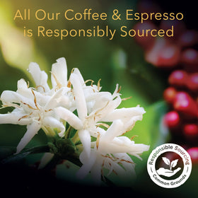 L'OR Espresso Capsules compatible with L'OR BARISTA system.