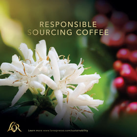 L'OR Colombia 40-count pack ready for quick mornings with a Nespresso Original machine