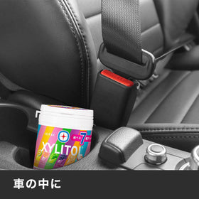 Lotte xylitol gum seven assorted bottle preserves freshness between uses