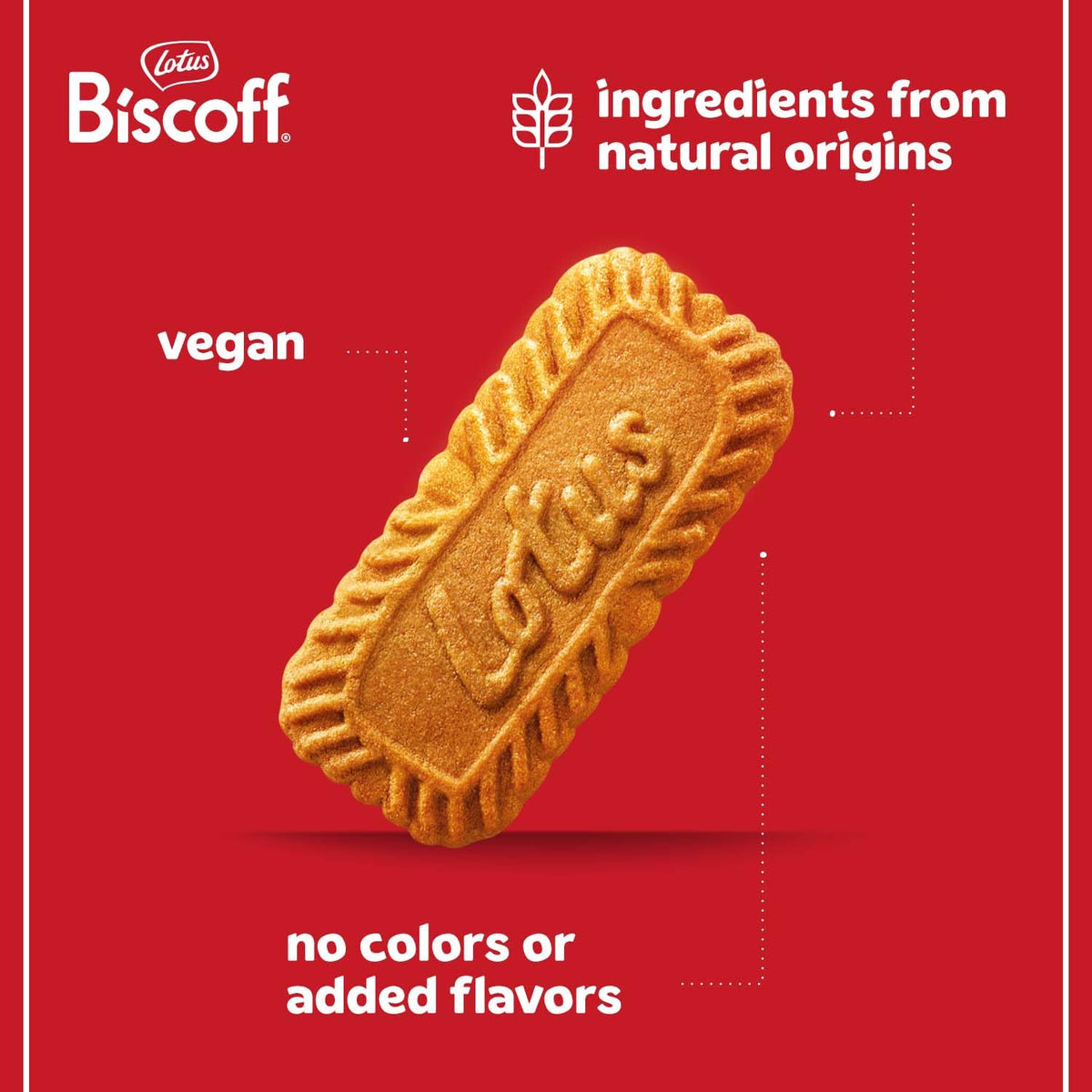 Lotus Biscoff cookies paired with coffee, elevating your daily ritual.