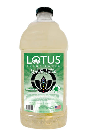 Lotus Energy Concentrate Blue bottle blueberry and acai for refreshing energy