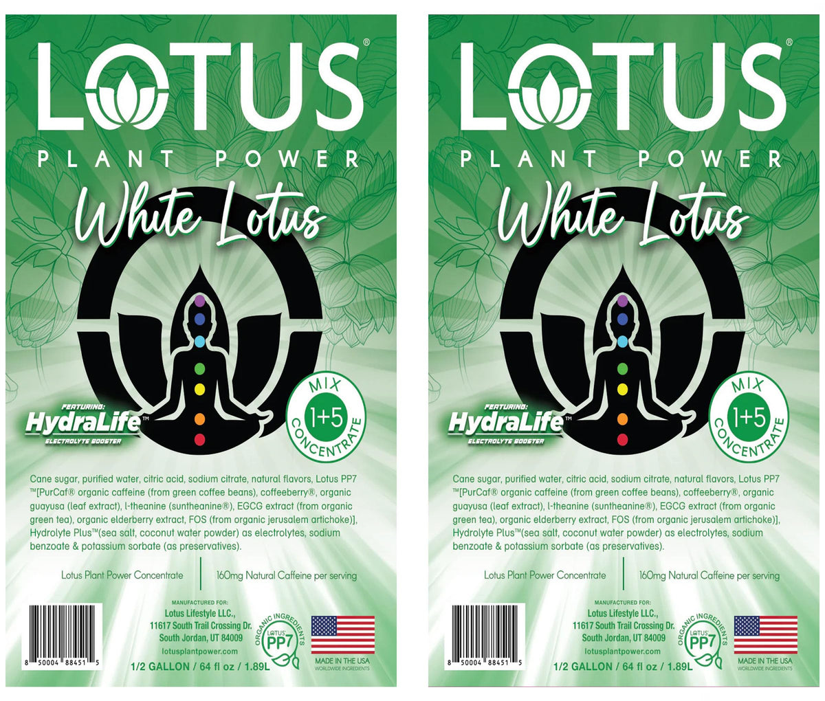 Lotus Energy Concentrate Red bottle tart cherry infusion plant based energy lift