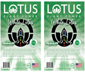 Lotus Energy Concentrate Red bottle tart cherry infusion plant based energy lift
