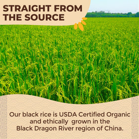 Lotus Foods gluten-free packaging close-up, certified gluten-free and Non-GMO.