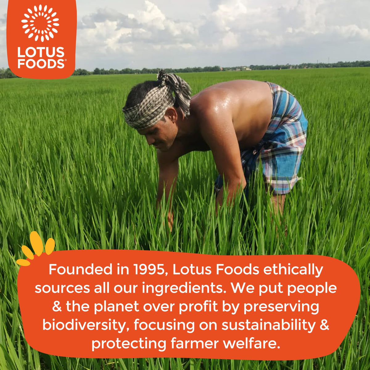 Lotus Foods organic, non-GMO, kosher and vegan certifications on products.