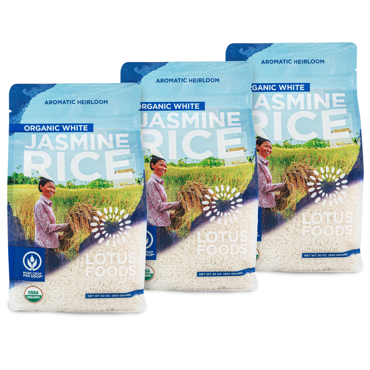 Lotus Foods Organic White Jasmine Rice aroma in bag highlighting gluten-free quality.