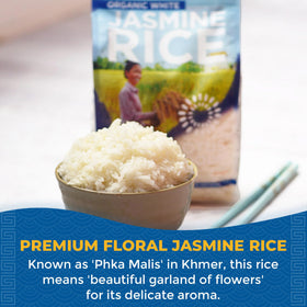 Lotus Foods organic white jasmine rice measuring cup, precise portions for balanced meals.