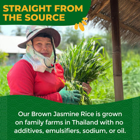 Lotus Foods USDA Organic label shows certified organic ingredients