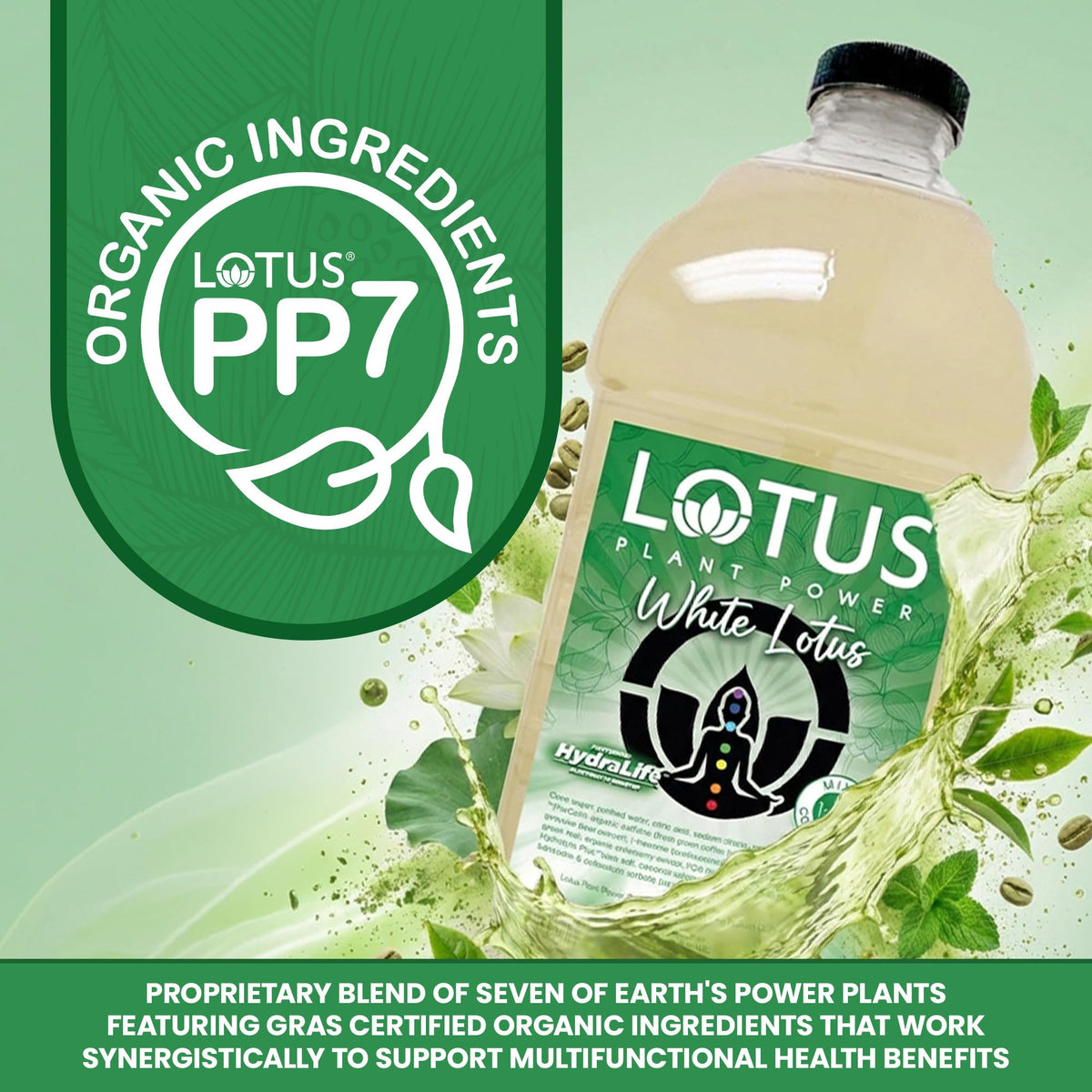 White Lotus Plant Power natural caffeine from green coffee beans depicted in the PP7 blend