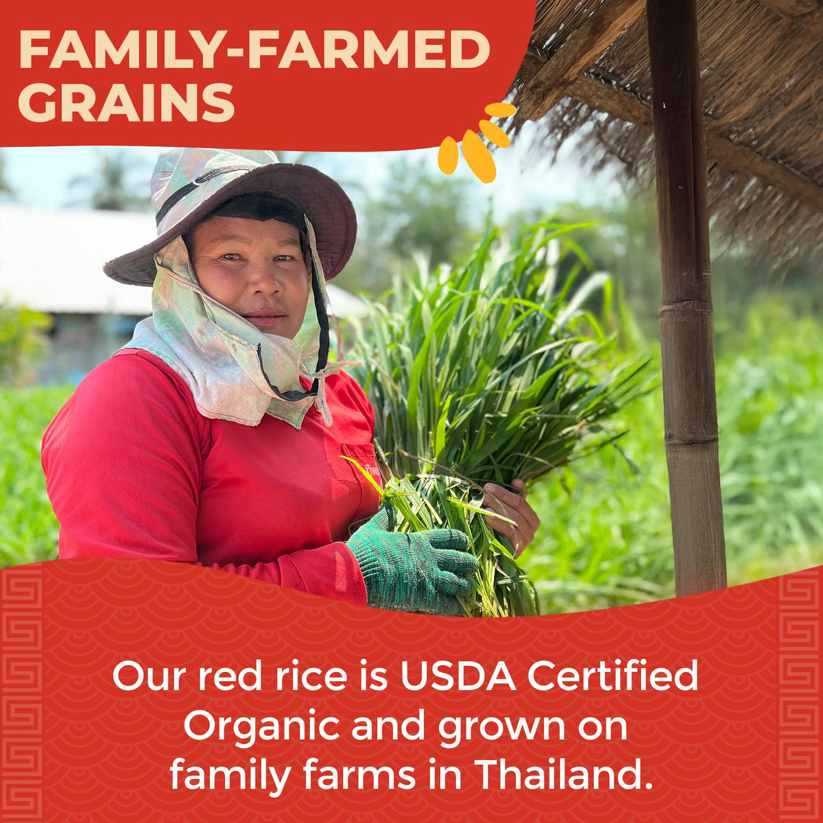 Lotus Foods Organic Red Rice gluten free option for diverse meals