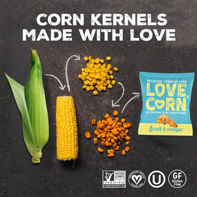 Love Corn Salt & Vinegar crisp close-up showcases tangy flavor and satisfying crunch.