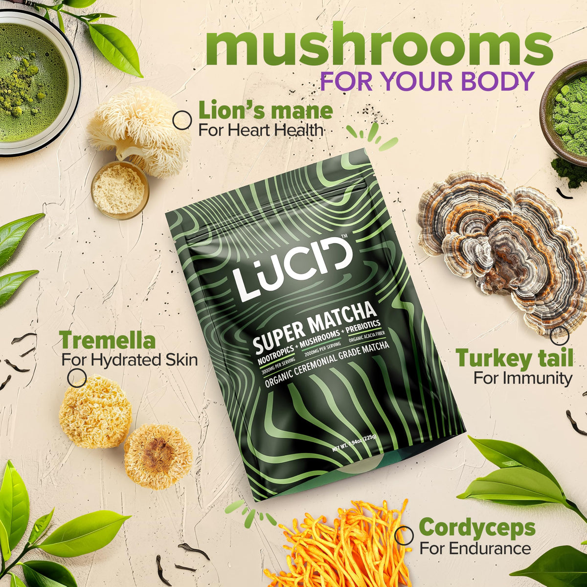 Lucid Mushroom Matcha with turkey tail powder fits daily ritual.
