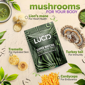 Lucid Mushroom Matcha with turkey tail powder fits daily ritual.
