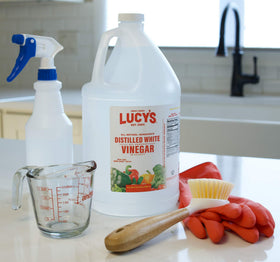 Lucy’s eco-friendly and biodegradable cleaning option aligns with sustainable routines.
