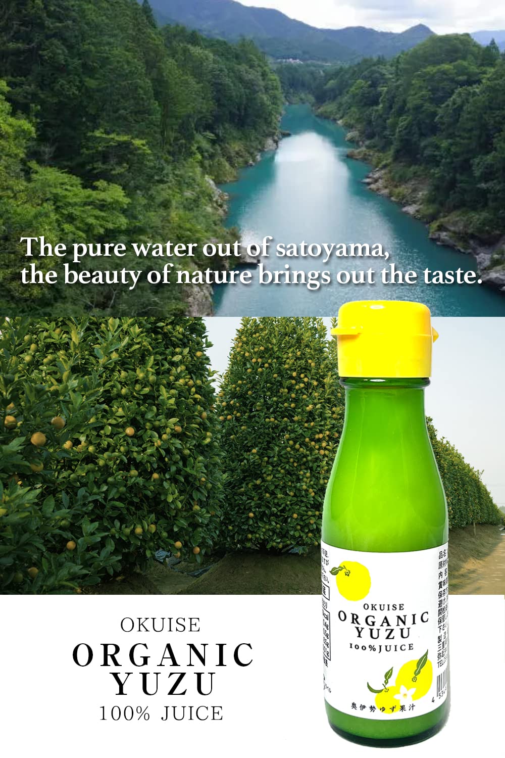 LUIJHGVC Yuzu juice bottle side view suitable for kitchen display
