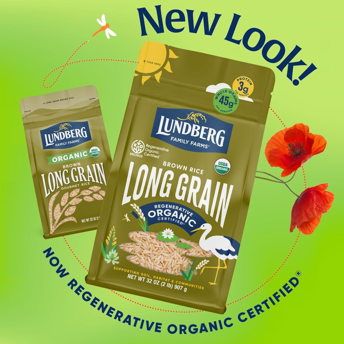 Lundberg regenerative organic brown rice long grain steaming in a bowl.
