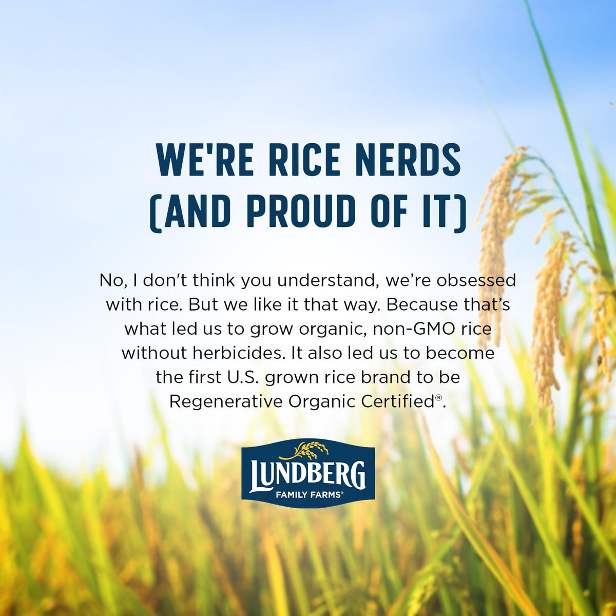 Lundberg Wild Rice on-shelf packaging emphasizing regenerative farming and gluten-free, non-GMO qualities.