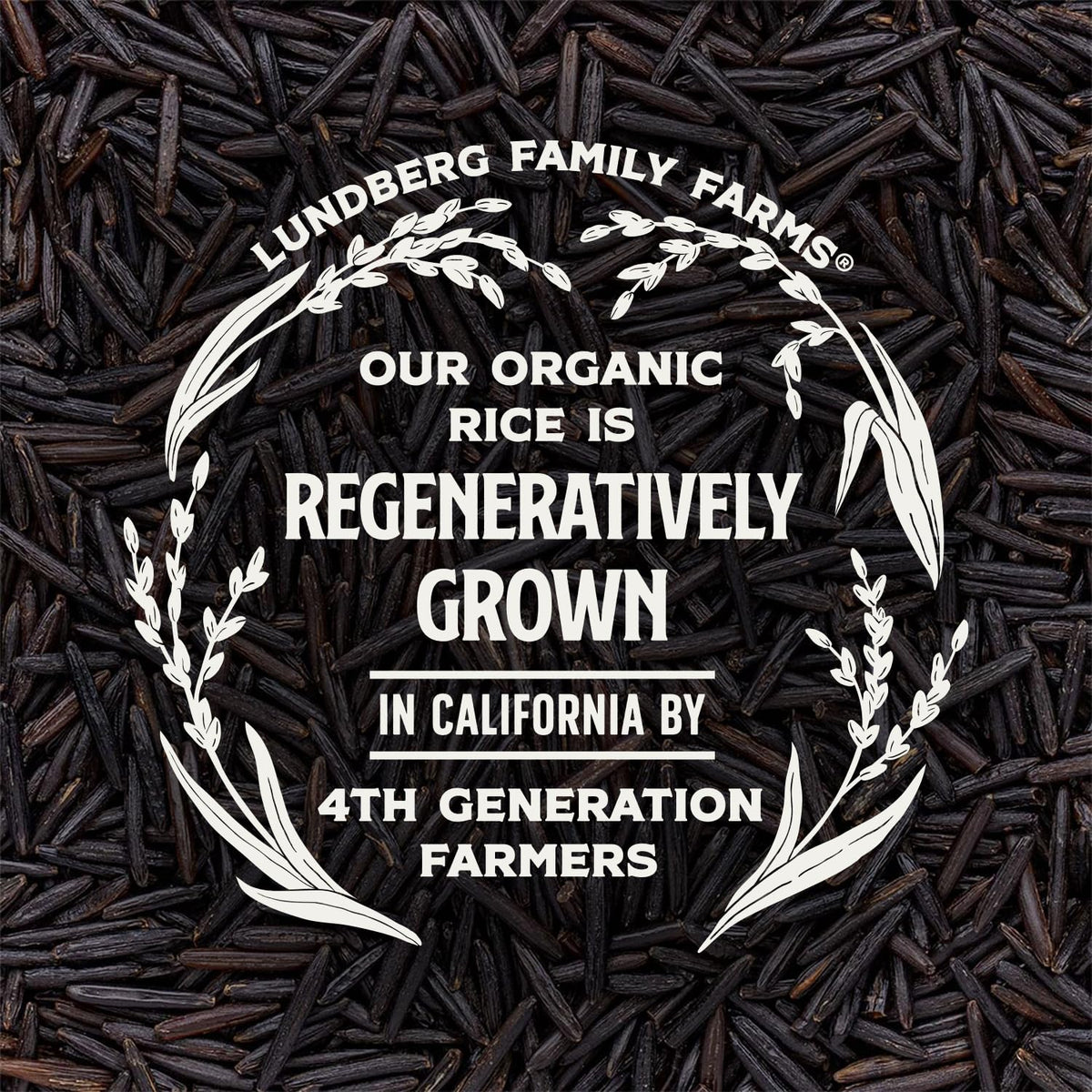 Lundberg Wild Rice steaming aroma inviting hearty meals.