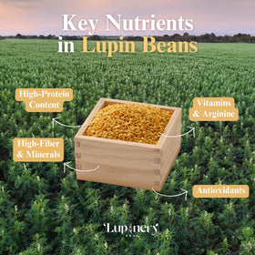 Lupinery Lupin Beans – ideal for plant-based cooking and balanced meals.