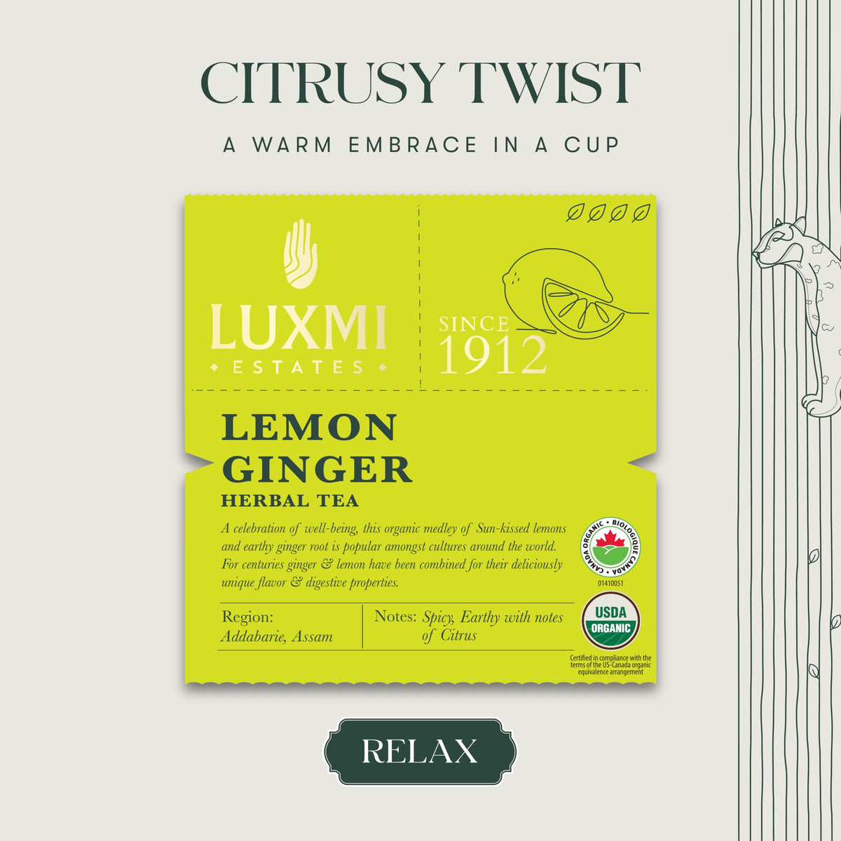 Luxmi Estates Lemon Ginger Tea ginger root slices releasing warm spice