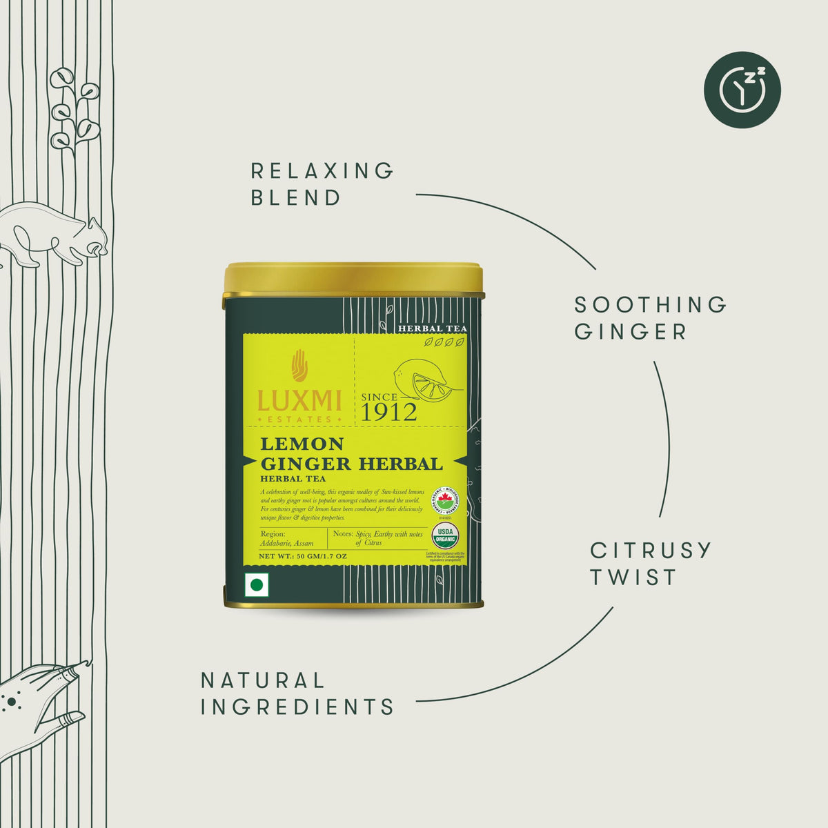 Luxmi Estates Lemon Ginger Tea lemongrass stems add fresh herbal brightness