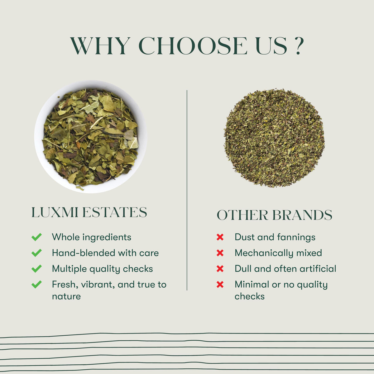 Luxmi Estates Moringa Mint Tea handpicked moringa leaves; fresh aroma elevates daily ritual.