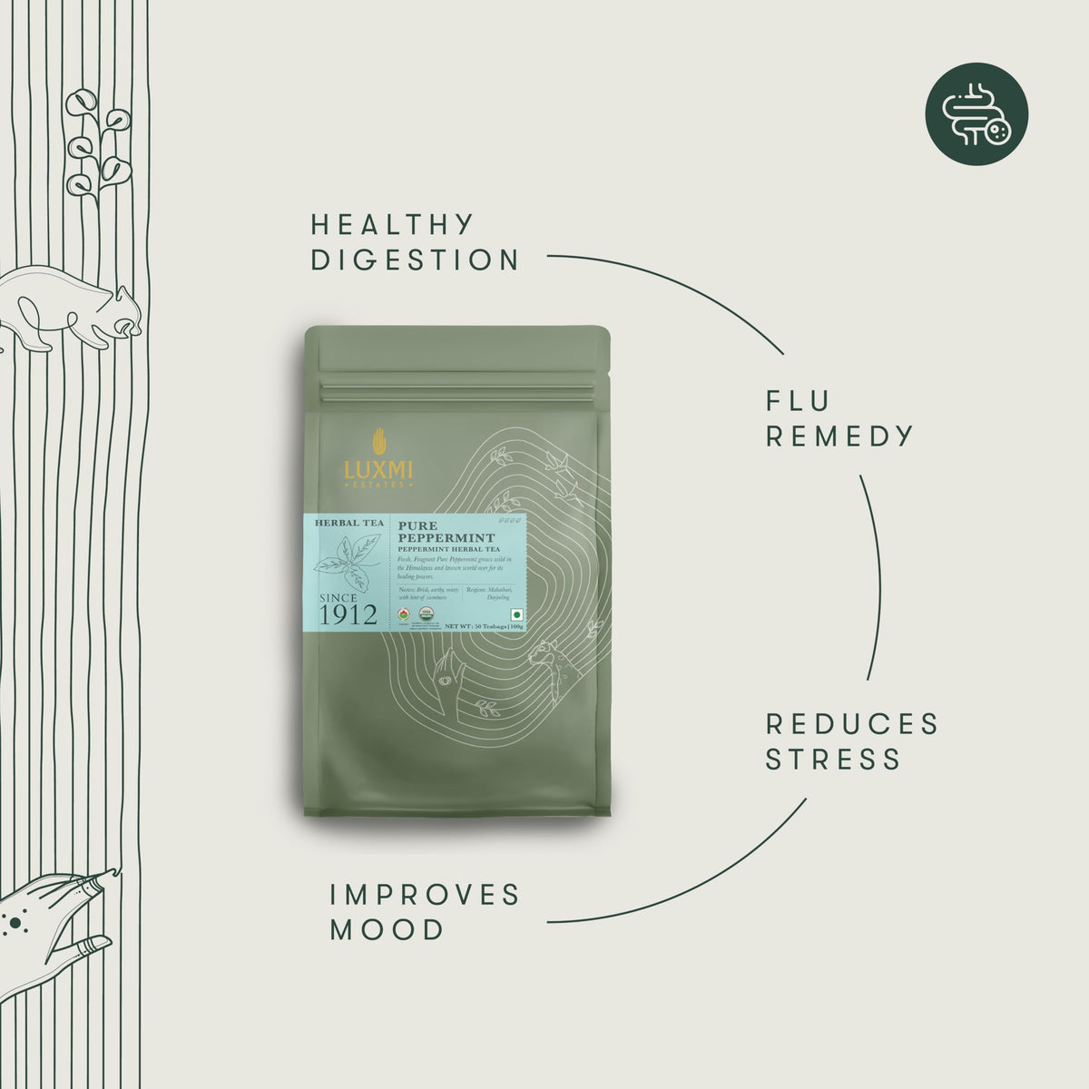 Luxmi Estates Purely Peppermint Tea bags pack neatly for a quick evening brew