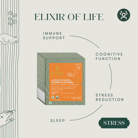 Luxmi Estates Ashwagandha Turmeric Tea – Organic Adaptogen, 25 Biodegradable Bags (50g)