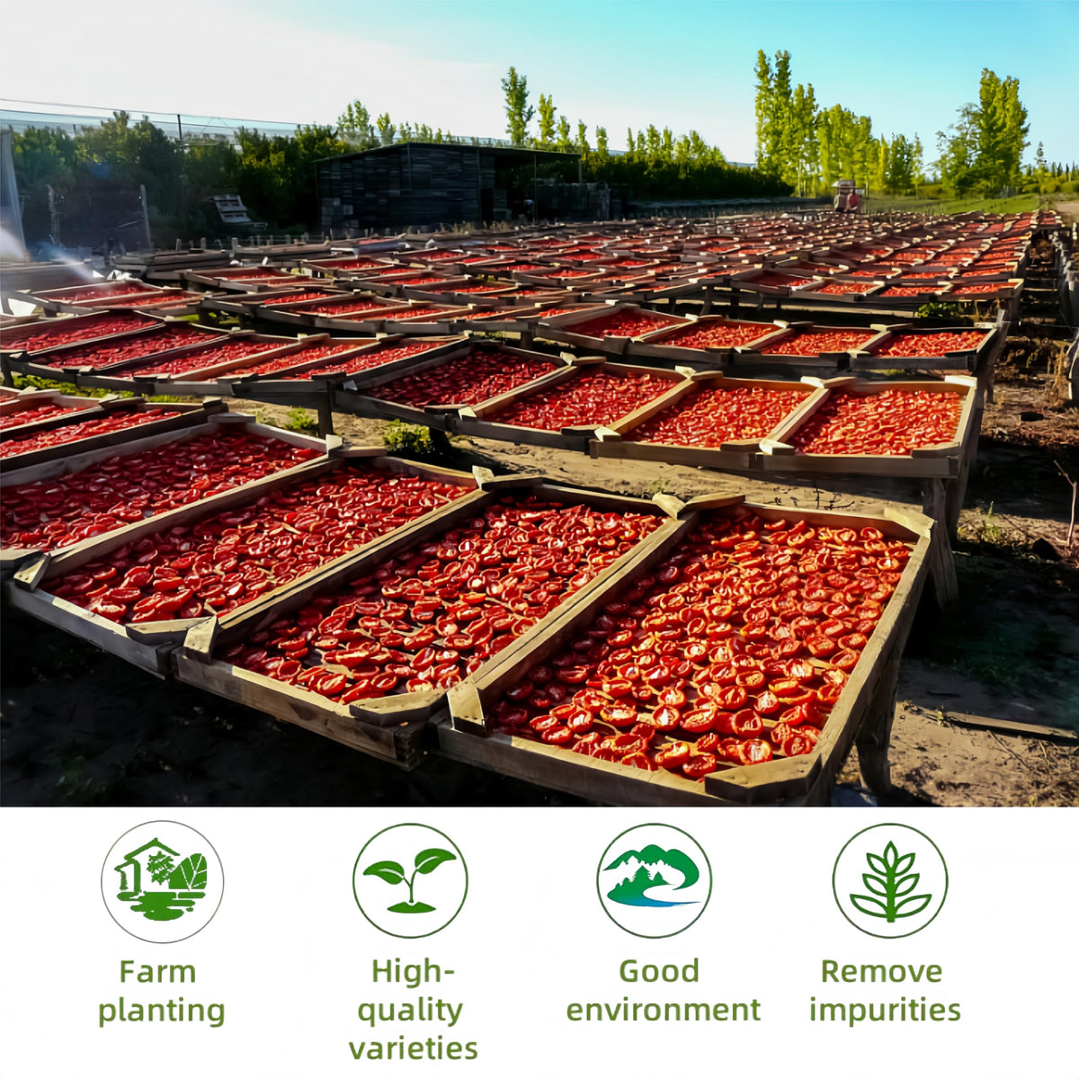 LWWTYKSPL bulk 12-35oz tomato flakes offers great value for meals.