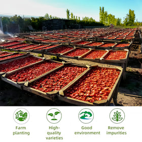 LWWTYKSPL bulk 12-35oz tomato flakes offers great value for meals.
