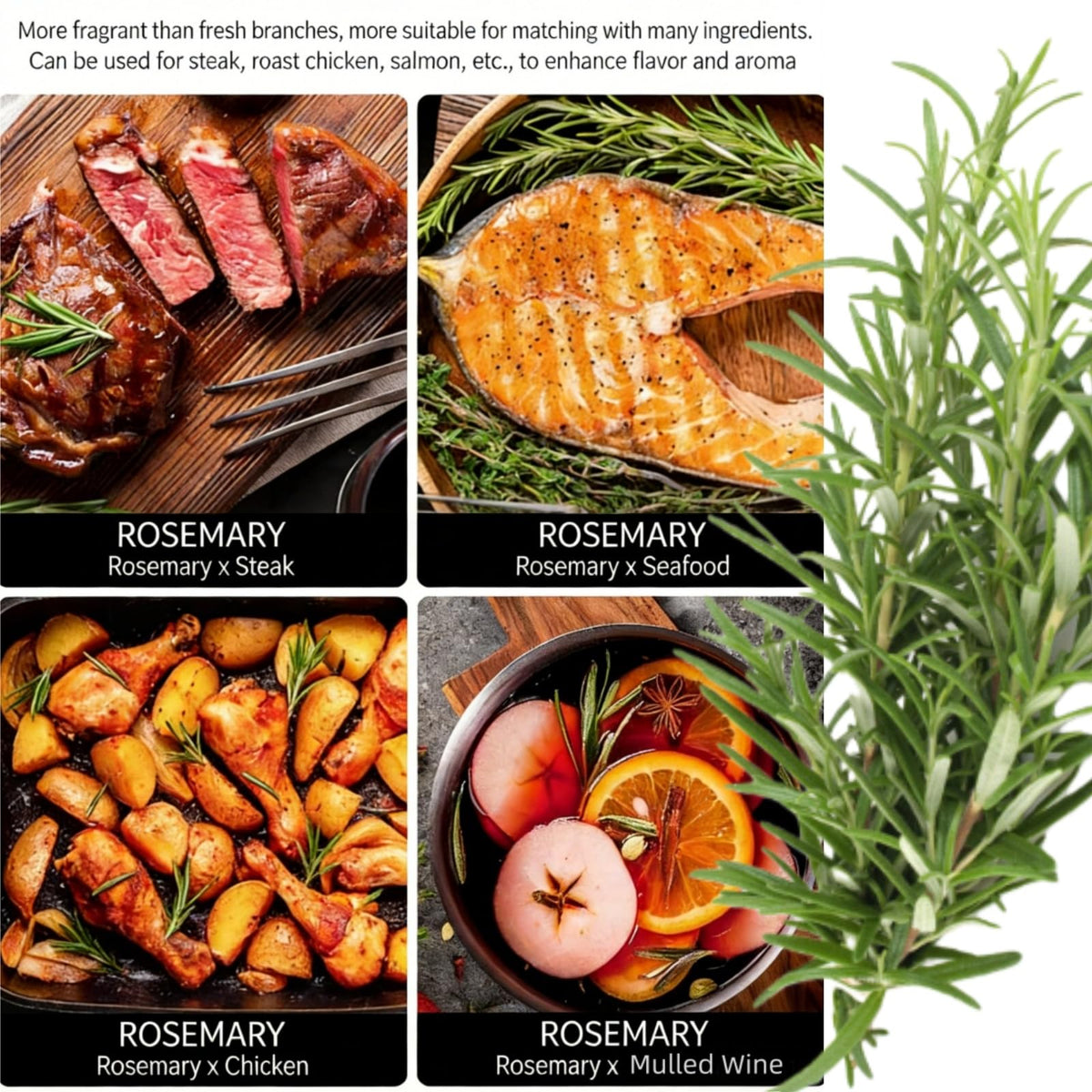 LWWTYKSPL dried rosemary aroma closeup highlighting fresh pine-like scent.