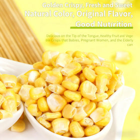 LWWTYKSPL freeze-dried sweet corn in trail mix for convenient nutrition