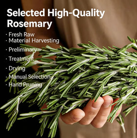 LWWTYKSPL rosemary whole sprigs ready for cooking and infusion.