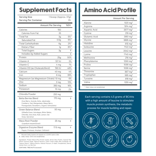 LyfeFuel greens and superfoods powder for daily plant-based nutrition