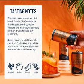Lyre’s Amalfi Spritz 4-pack front, convenient for on-the-go celebrations.