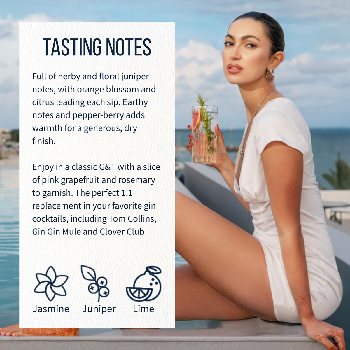 Lyre's Gin Alternative dry finish image hints at pepperberry warmth.