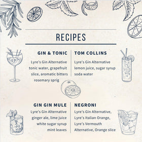 Lyre's Gin Alternative G&T serve shows versatile, zero proof cocktail option.