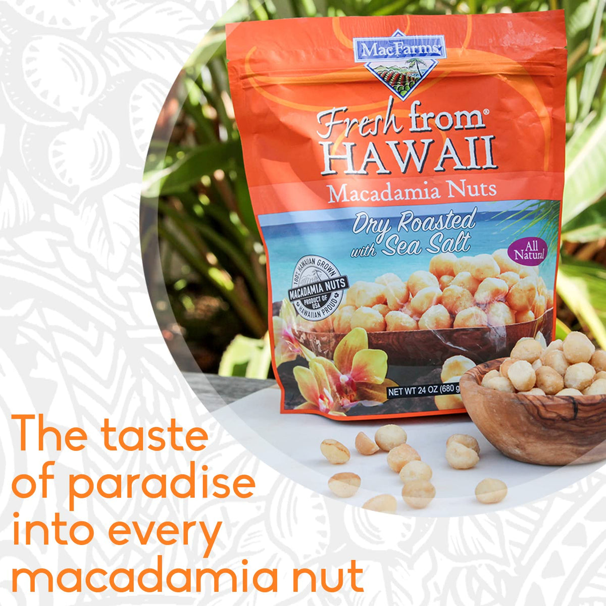 MacFarms macadamias being poured from a jar, fresh and inviting.
