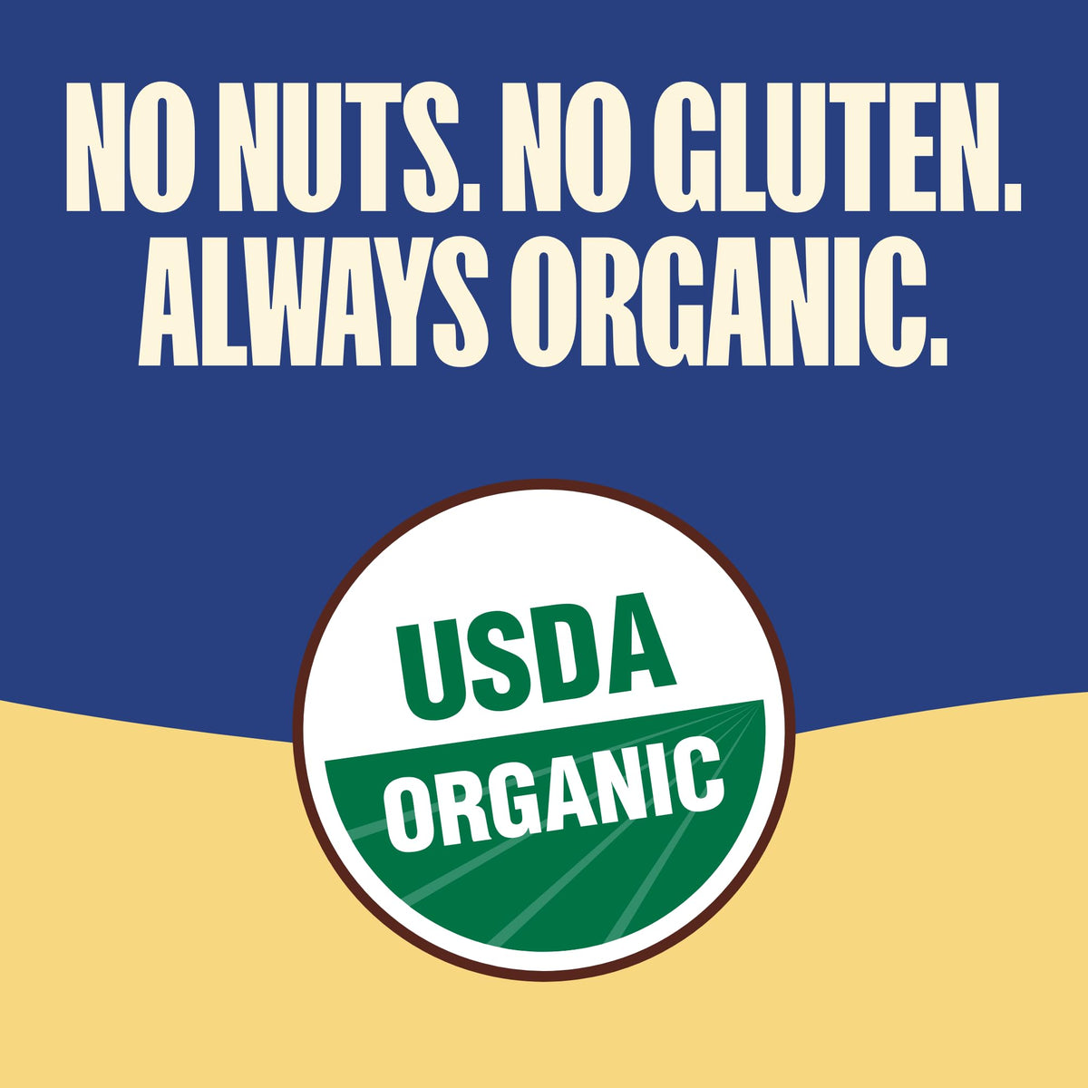 Blueberries and oat base highlight natural flavor in MadeGood Mornings bars.