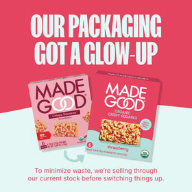 Vegan, gluten-free MadeGood square displayed as allergy-friendly option.
